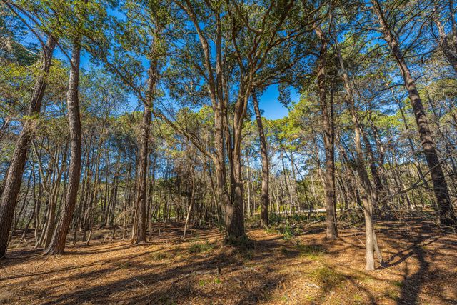 4129 Gnarled Oaks Lane, Johns Island, SC 29455