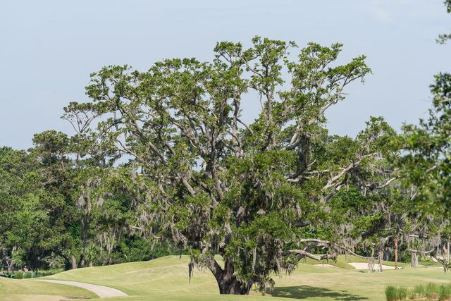 4129 Gnarled Oaks Lane, Johns Island, SC 29455