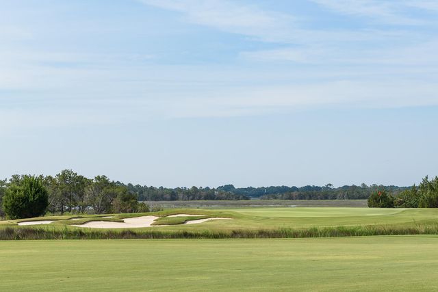 4129 Gnarled Oaks Lane, Johns Island, SC 29455