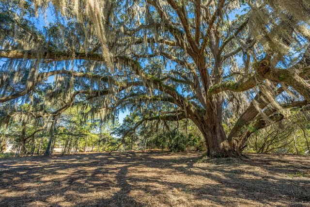 4129 Gnarled Oaks Lane, Johns Island, SC 29455