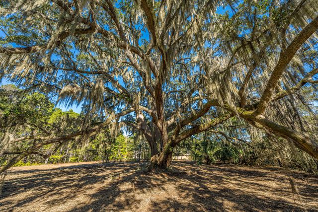 4129 Gnarled Oaks Lane, Johns Island, SC 29455