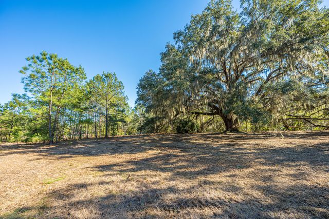 4129 Gnarled Oaks Lane, Johns Island, SC 29455