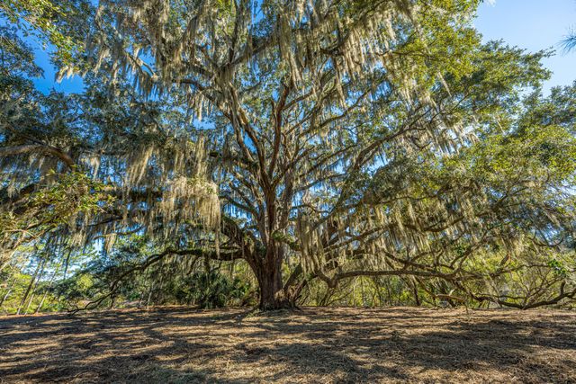 4129 Gnarled Oaks Lane, Johns Island, SC 29455