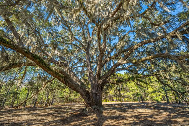 4129 Gnarled Oaks Lane, Johns Island, SC 29455