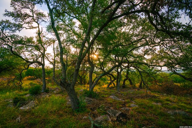 000 Rambling Oaks Ranch, Spring Branch, TX 78070