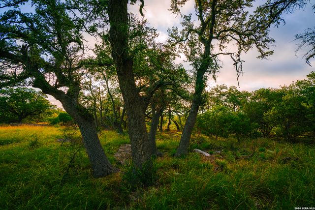 000 Rambling Oaks Ranch, Spring Branch, TX 78070