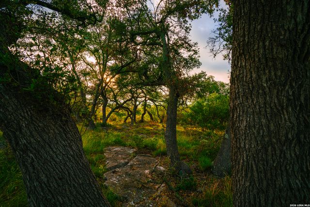 000 Rambling Oaks Ranch, Spring Branch, TX 78070