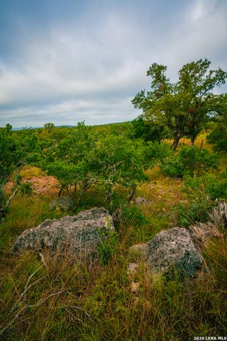 000 Rambling Oaks Ranch, Spring Branch, TX 78070