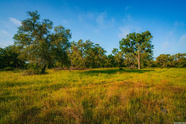 000 Rambling Oaks Ranch, Spring Branch, TX 78070