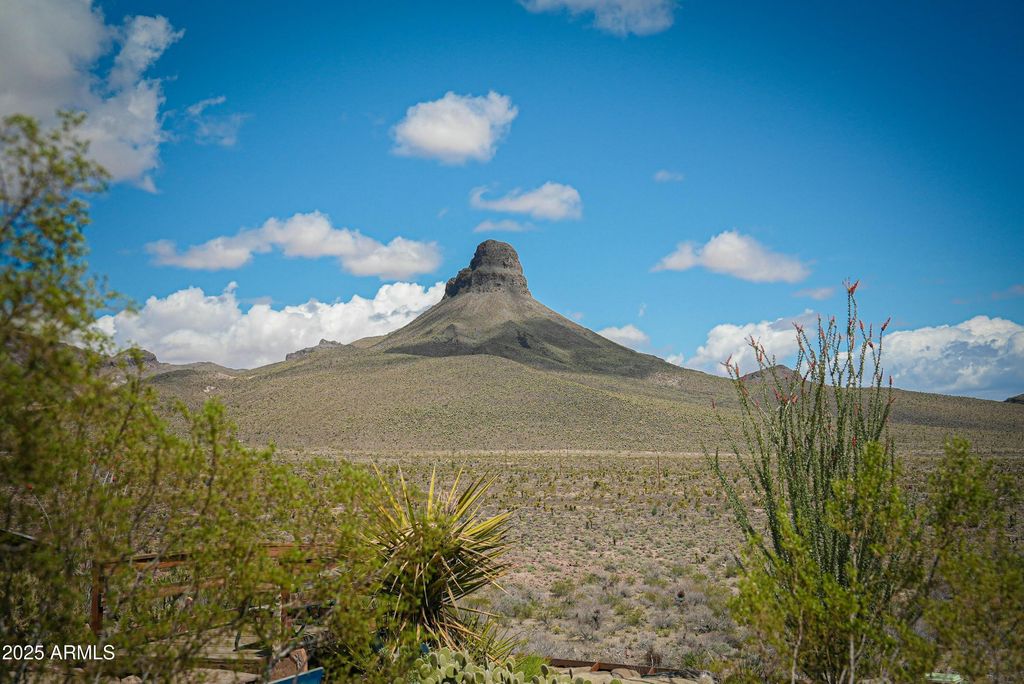 Image 4 of property listing at - W Oatman Highway -- -, Golden Valley, AZ 86413