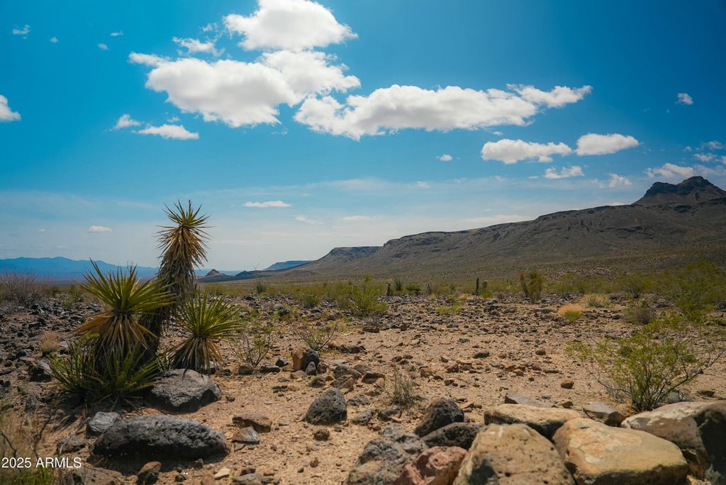 Image 8 of property listing at - W Oatman Highway -- -, Golden Valley, AZ 86413