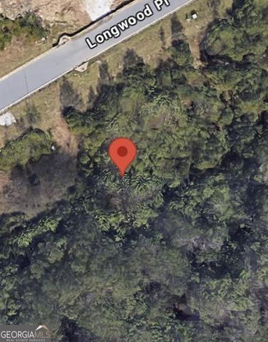 439 Longwood Place, Dallas, GA 30132