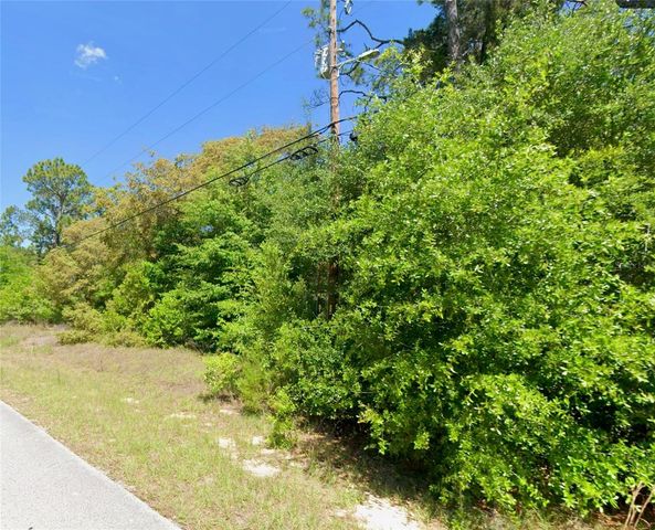 TBD SW AUDUBON AVENUE, Dunnellon, FL 34431