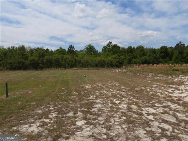 5915 Rye Patch road, Ludowici, GA 31316