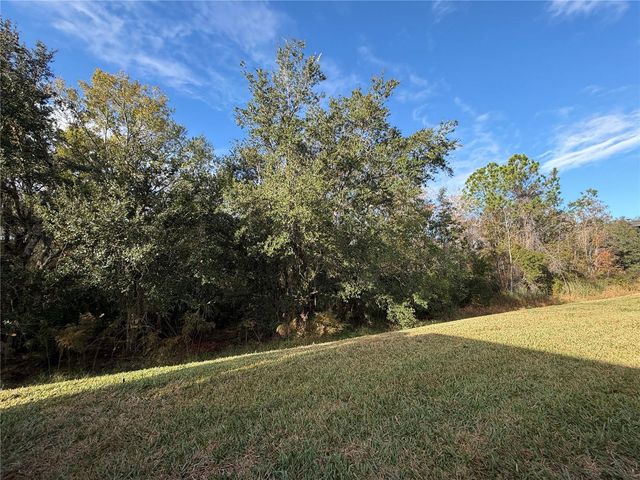 1141 HARBOR RIDGE DRIVE, Poinciana, FL 34759