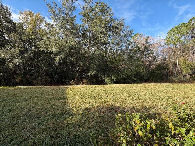 1141 HARBOR RIDGE DRIVE, Poinciana, FL 34759