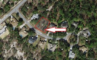 6 Bigleaf Court, Homosassa, FL 34446