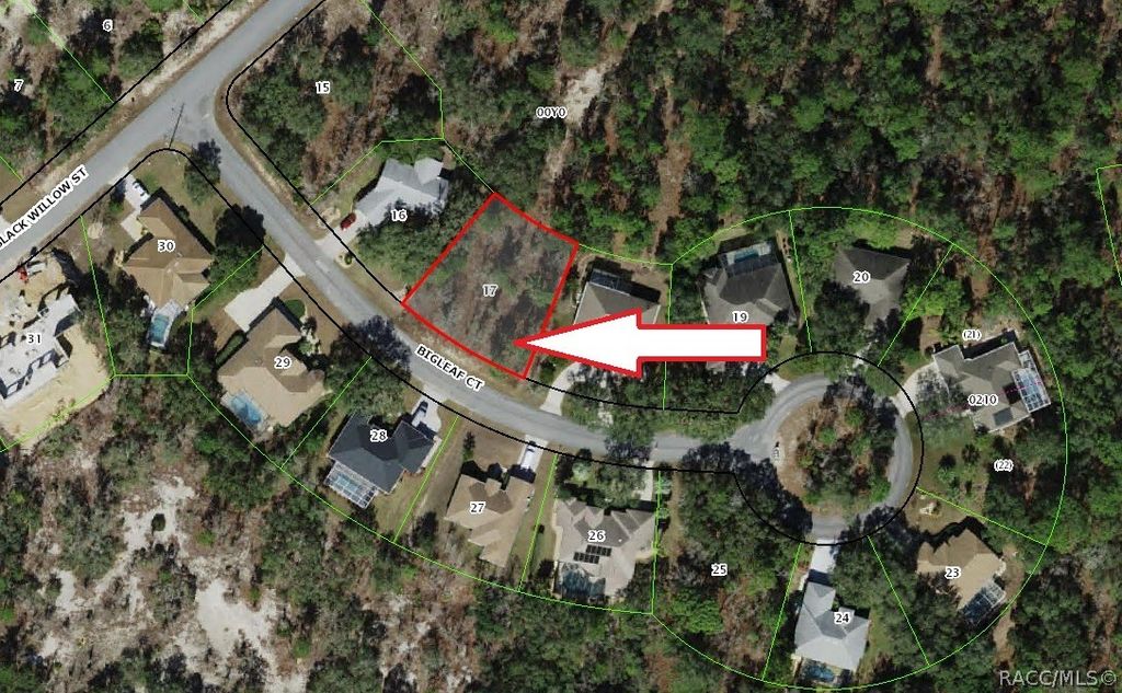 6 Bigleaf Court, Homosassa, FL 34446