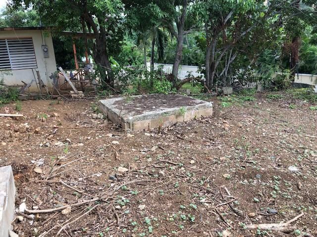 627 BRAVOS DE BOSTON, Vieques, PR 00765