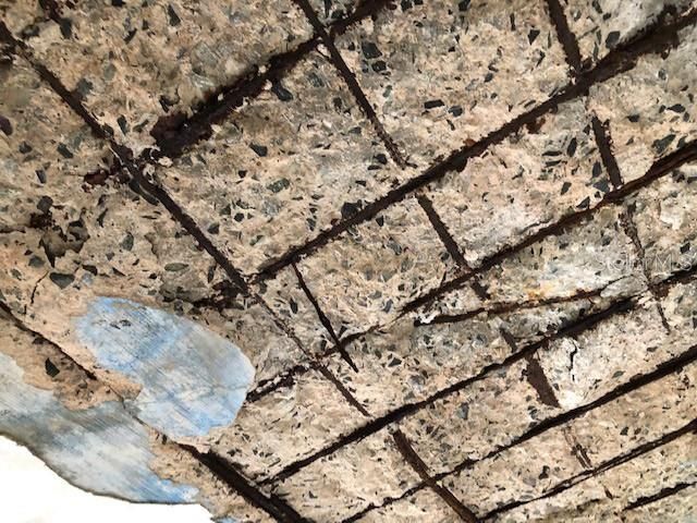 627 BRAVOS DE BOSTON, Vieques, PR 00765