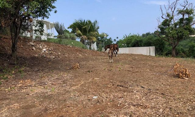 627 BRAVOS DE BOSTON, Vieques, PR 00765