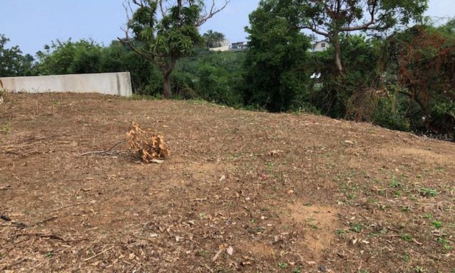 627 BRAVOS DE BOSTON, Vieques, PR 00765