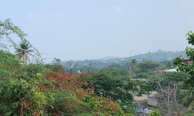 627 BRAVOS DE BOSTON, Vieques, PR 00765