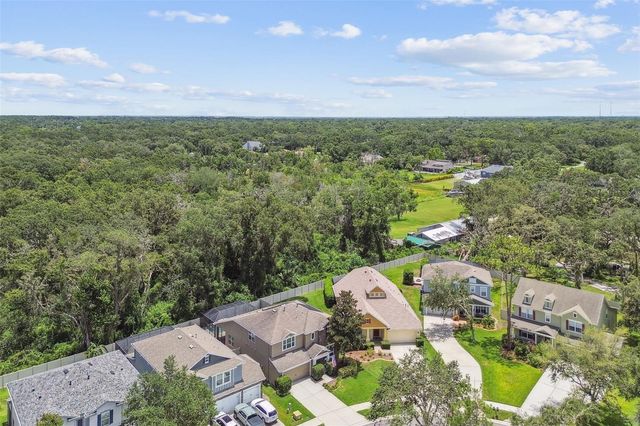 3530 BROOK CROSSING DRIVE, Brandon, FL 33511