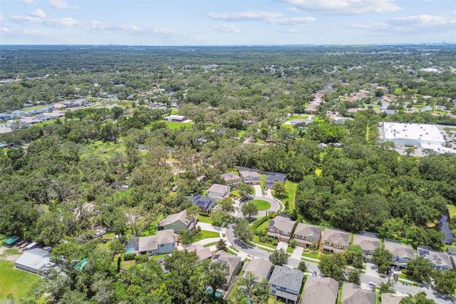 3530 BROOK CROSSING DRIVE, Brandon, FL 33511