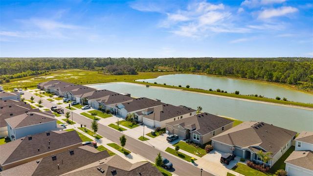 33700 HAMILTON HILL LANE, Wesley Chapel, FL 33545