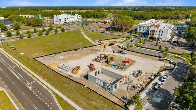 33700 HAMILTON HILL LANE, Wesley Chapel, FL 33545