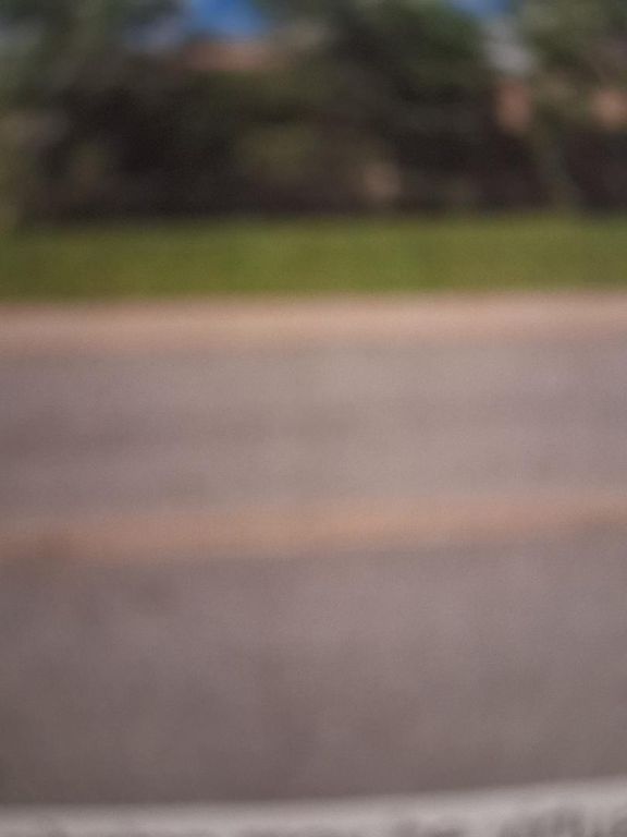 9259 S Cottage Grove Avenue, Chicago, IL 60619