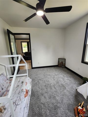 28 Park Street, Farmington, MO 63640