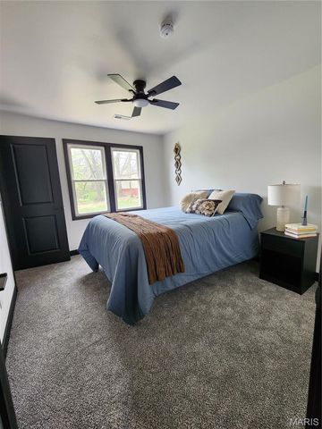 28 Park Street, Farmington, MO 63640