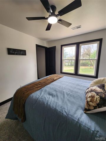 28 Park Street, Farmington, MO 63640