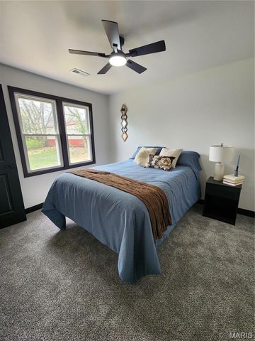 28 Park Street, Farmington, MO 63640