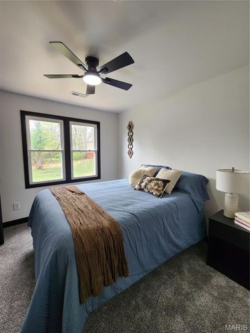 28 Park Street, Farmington, MO 63640