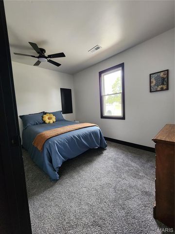28 Park Street, Farmington, MO 63640