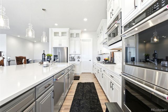 851 Alumroot Street, Castle Rock, CO 80104