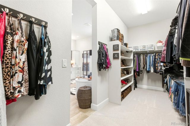 851 Alumroot Street, Castle Rock, CO 80104