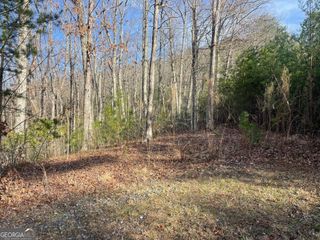 LOT 14 Big Cove Drive, Hiawassee, GA 30546