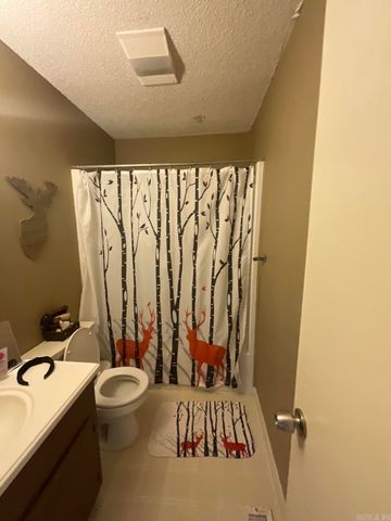 529 Dodson Creek Road, Haskell, AR 72015