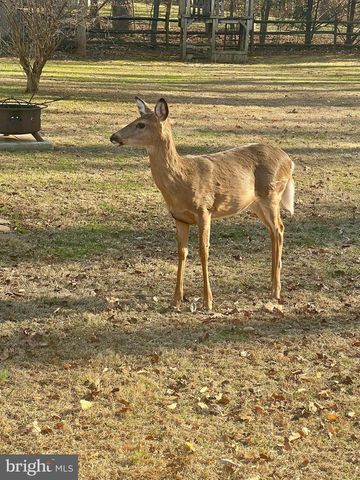 15420 BOB WHITE TRL, Amissville, VA 20106