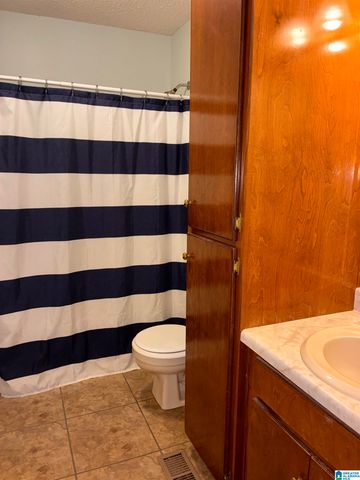 100 CRICKET LANE, Lincoln, AL 35096