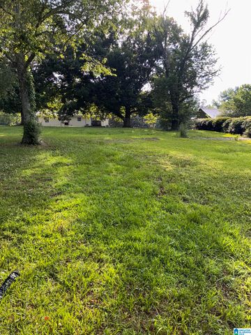 100 CRICKET LANE, Lincoln, AL 35096