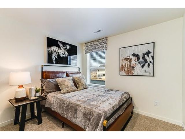 866 Trumpet Ln, Windsor, CO 80550