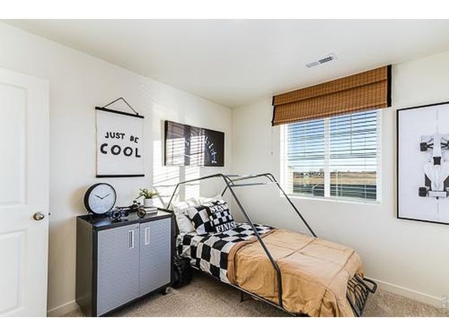 866 Trumpet Ln, Windsor, CO 80550