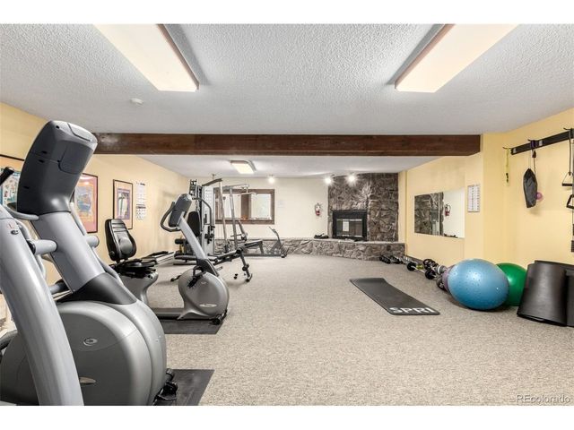 37 Tally Ho Ct 110, Dillon, CO 80435