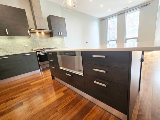 1100 W Adams Street 3N, Chicago, IL 60607