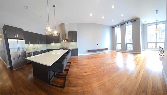 1100 W Adams Street 3N, Chicago, IL 60607